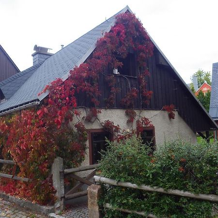 Ferienhaus Frieda Altenberg Екстер'єр фото