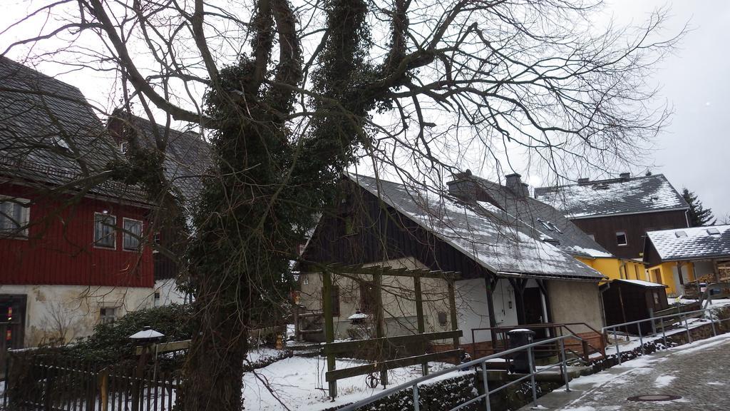 Ferienhaus Frieda Altenberg Екстер'єр фото